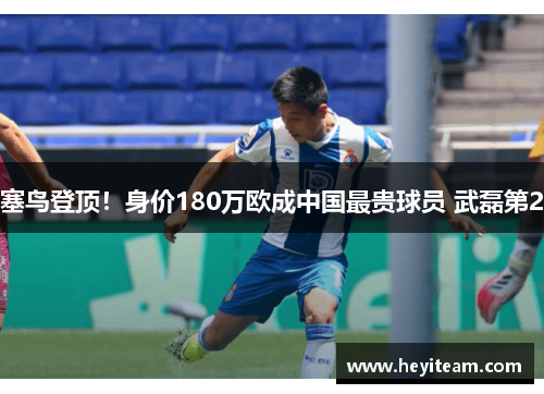 塞鸟登顶！身价180万欧成中国最贵球员 武磊第2